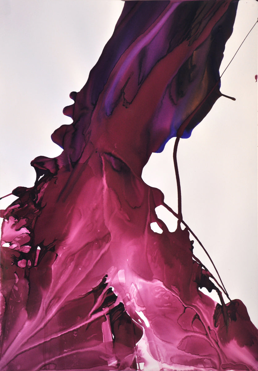 Multichrome - Purple and Chinese Rouge – Hua