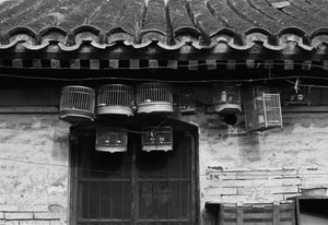 Prince's House Hutong