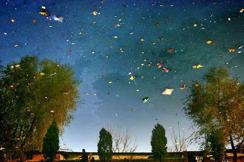 Stars light our way